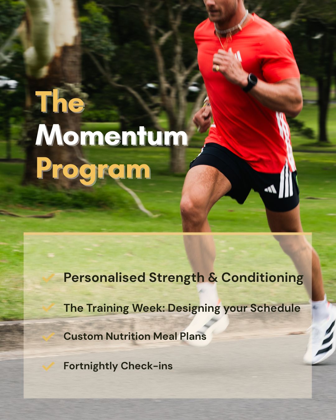 The Momentum Package - Online Coaching